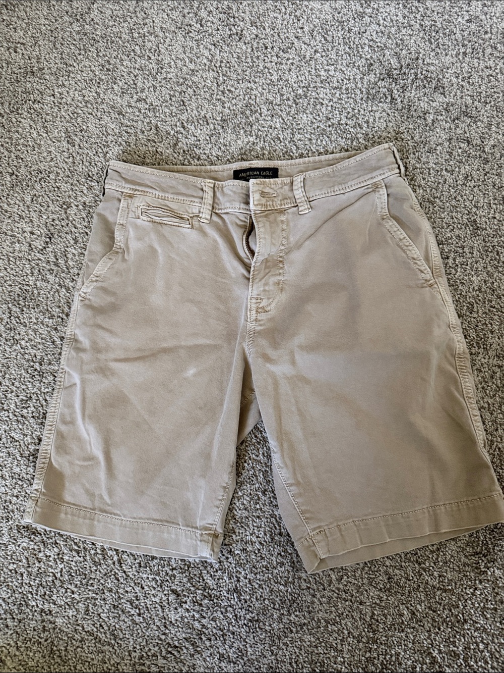 American Eagle Outfitters Tan Flat Front Men’s Shorts